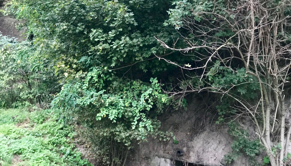 Vstup do staršej pivnice priamo v oblasti vinohradov