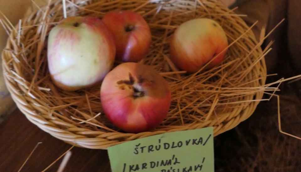 Stare odrody ovocia pestované na Hrušove, vystavené na festivale Hontianska paráda, 2018