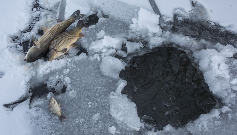Zimný rybolov dierou v ľade 